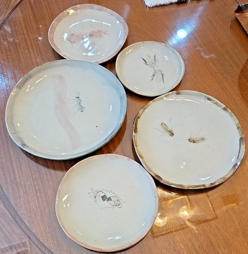 Insect display studio pottery - insect,